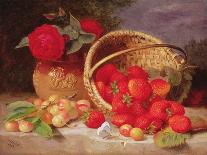 Still Life of Summer Fruit and Peach Roses-Eloise Harriet Stannard-Giclee Print