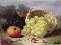 Still Life with Raspberries and a Bunch of Grapes on a Marble Ledge, 1882-Eloise Harriet Stannard-Giclee Print