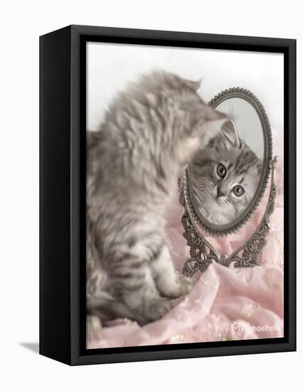 Eloise-Rachael Hale-Framed Stretched Canvas