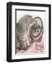 Eloise-Rachael Hale-Framed Photographic Print