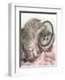 Eloise-Rachael Hale-Framed Photographic Print