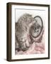 Eloise-Rachael Hale-Framed Photographic Print