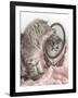 Eloise-Rachael Hale-Framed Photographic Print