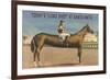 Elongated Horse, Today's Long Shot at Santa Anita, California-null-Framed Premium Giclee Print