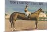 Elongated Horse, Today's Long Shot at Santa Anita, California-null-Mounted Premium Giclee Print