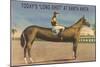 Elongated Horse, Today's Long Shot at Santa Anita, California-null-Mounted Art Print