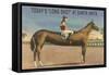 Elongated Horse, Today's Long Shot at Santa Anita, California-null-Framed Stretched Canvas