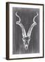 Elongated Mount I-Ethan Harper-Framed Art Print