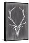 Elongated Mount II-Ethan Harper-Framed Stretched Canvas