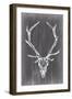 Elongated Mount II-Ethan Harper-Framed Art Print