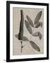 Eloquent Leaves I-Vision Studio-Framed Art Print