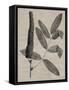 Eloquent Leaves I-Vision Studio-Framed Stretched Canvas