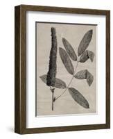 Eloquent Leaves I-Vision Studio-Framed Art Print