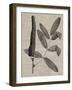 Eloquent Leaves I-Vision Studio-Framed Art Print