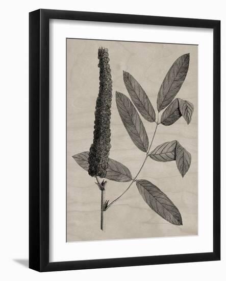 Eloquent Leaves I-Vision Studio-Framed Art Print