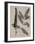 Eloquent Leaves I-Vision Studio-Framed Art Print