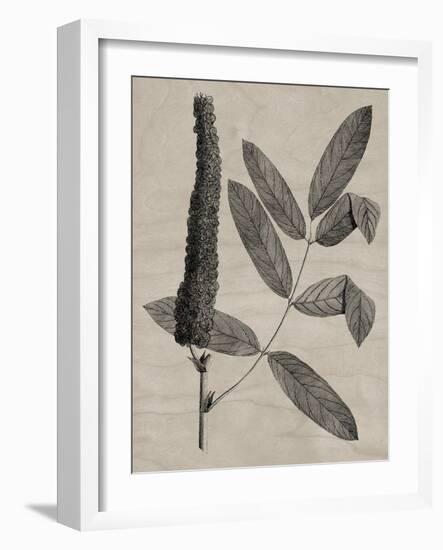 Eloquent Leaves I-Vision Studio-Framed Art Print