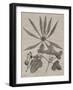 Eloquent Leaves III-Vision Studio-Framed Art Print