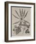 Eloquent Leaves III-Vision Studio-Framed Art Print