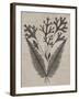 Eloquent Leaves IV-Vision Studio-Framed Art Print