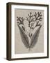 Eloquent Leaves IV-Vision Studio-Framed Art Print