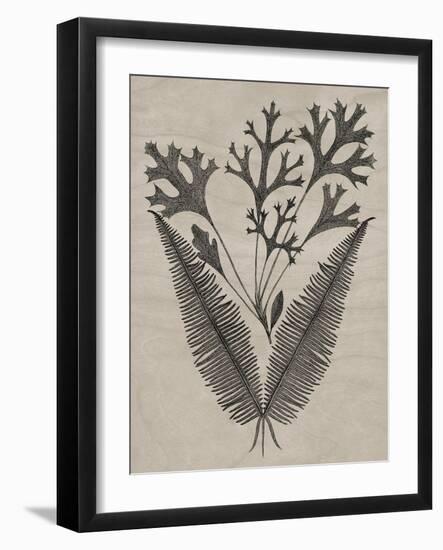 Eloquent Leaves IV-Vision Studio-Framed Art Print