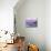 Elounda, Crete, Greece, Europe-Upperhall Ltd-Mounted Photographic Print displayed on a wall