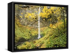 Elowah Falls in Autumn, Columbia Gorge National Scenic Area, Oregon, USA-Stuart Westmoreland-Framed Stretched Canvas