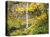 Elowah Falls in Autumn, Columbia Gorge National Scenic Area, Oregon, USA-Stuart Westmoreland-Stretched Canvas