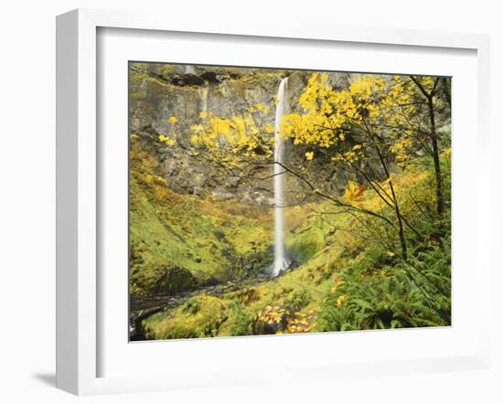 Elowah Falls in Autumn, Columbia Gorge National Scenic Area, Oregon, USA-Stuart Westmoreland-Framed Photographic Print