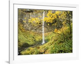 Elowah Falls in Autumn, Columbia Gorge National Scenic Area, Oregon, USA-Stuart Westmoreland-Framed Photographic Print