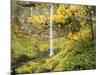 Elowah Falls in Autumn, Columbia Gorge National Scenic Area, Oregon, USA-Stuart Westmoreland-Mounted Photographic Print