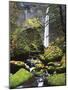 Elowah Falls, John B. Yeon State Park, Columbia River Gorge, Oregon, USA-Charles Gurche-Mounted Photographic Print