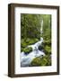 Elowah Falls on Mccord Creek, Columbia Gorge, Oregon, USA-Chuck Haney-Framed Photographic Print