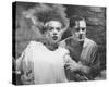 Elsa Lanchester - Bride of Frankenstein-null-Stretched Canvas