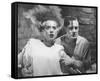 Elsa Lanchester - Bride of Frankenstein-null-Framed Stretched Canvas