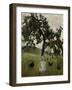 Elsbeth with chicken under an appletree. 1902-Paula Modersohn-Becker-Framed Giclee Print