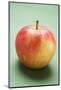 Elstar Apple-Foodcollection-Mounted Photographic Print