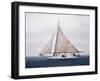 Elsworth-David Knowlton-Framed Giclee Print