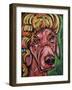 Elton Dawg-Rock Demarco-Framed Giclee Print