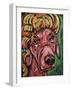 Elton Dawg-Rock Demarco-Framed Giclee Print