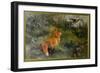 Eluding the Fox, 1912-Bruno Andreas Liljefors-Framed Giclee Print