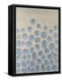 Elusive Orbs I-Michael Willett-Framed Stretched Canvas