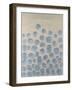 Elusive Orbs I-Michael Willett-Framed Art Print