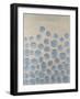 Elusive Orbs I-Michael Willett-Framed Art Print