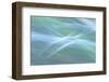 Elusive Thoughts-Jacob Berghoef-Framed Photographic Print