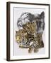 Elusive-Barbara Keith-Framed Giclee Print