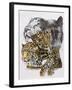 Elusive-Barbara Keith-Framed Giclee Print