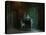 Elvaston Gothic-Mark Gordon-Stretched Canvas