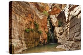 Elves Chasm, Grand Canyon National Park, Arizona, USA-Matt Freedman-Stretched Canvas